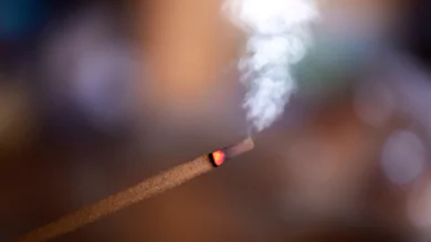 Incense stick with smoke rising from lit end